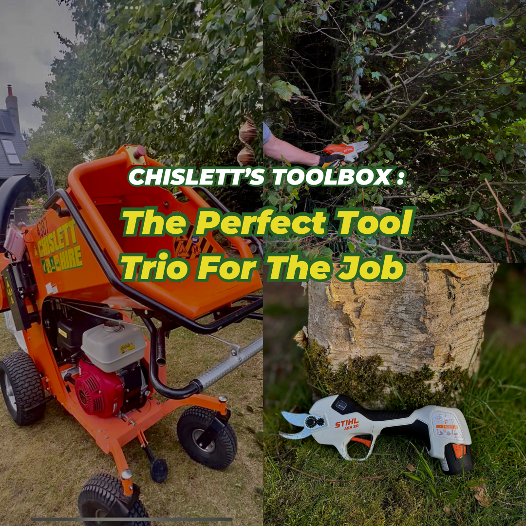 The Perfect Tool Trio For The Jobš